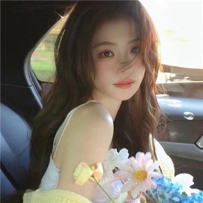 精灵宝可梦：结晶塔的帝王